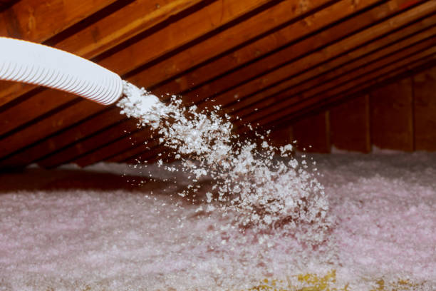 Best Specialty Insulation in Endicott, NY