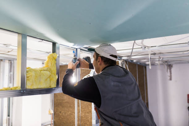 Best Insulation Installation Services in Endicott, NY